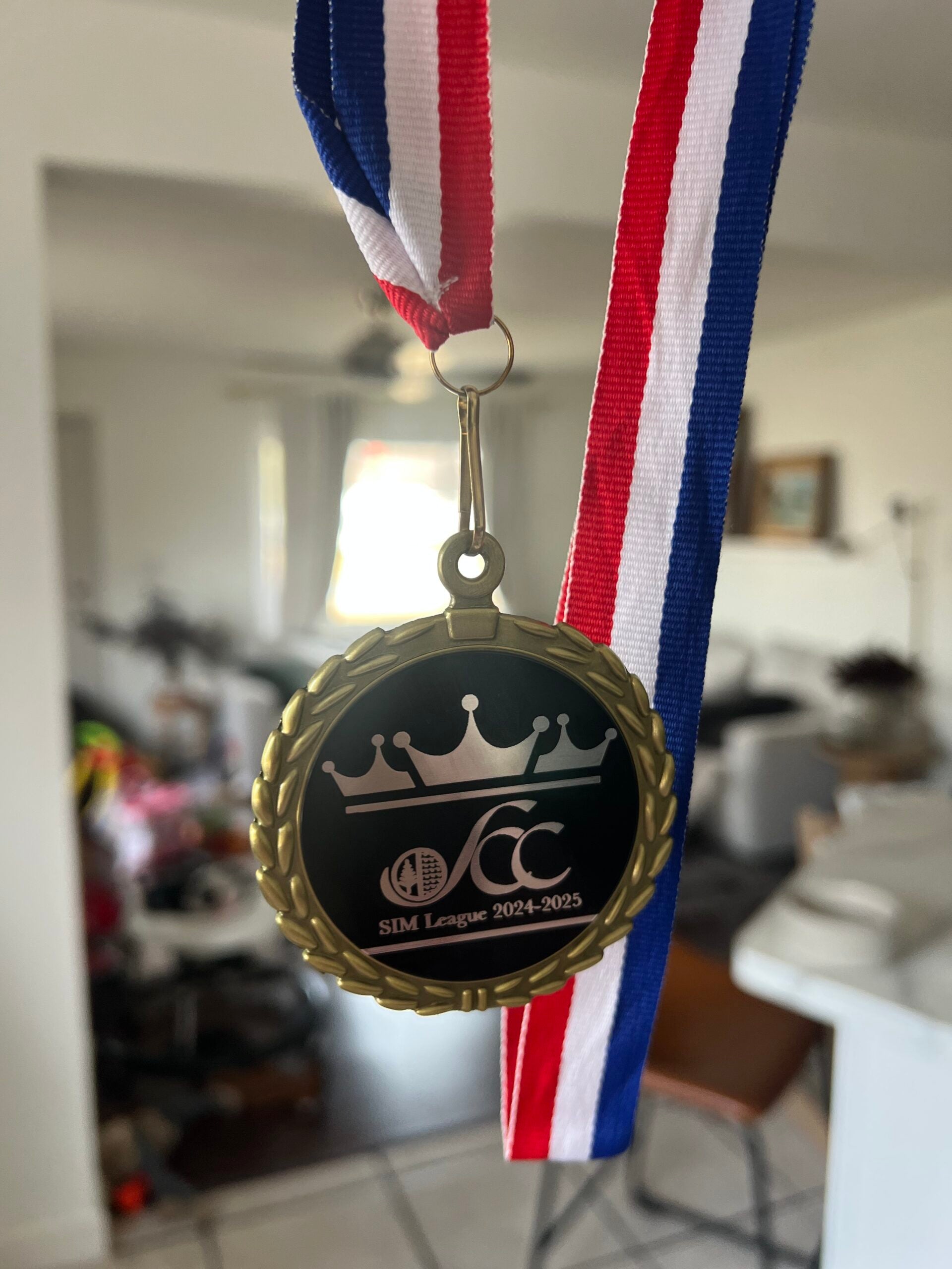 Medal w/ Ribbon image 3