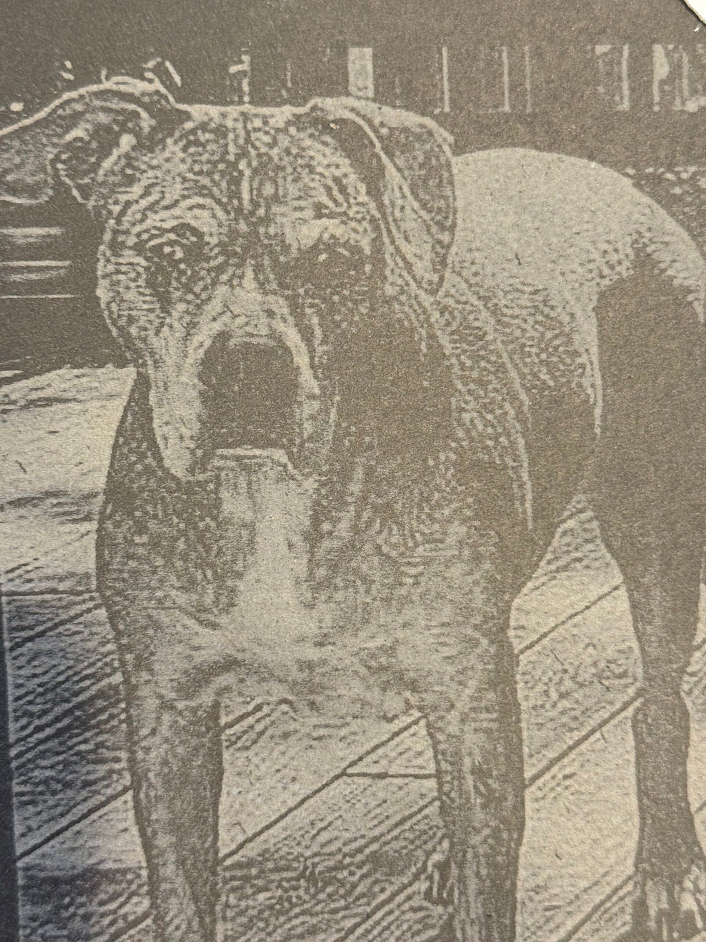 Slate Pet Memorial Plaque image 1